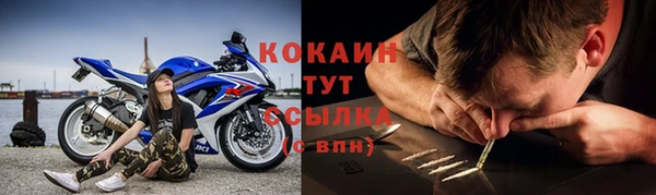 винт Новозыбков