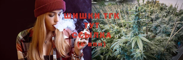 винт Новозыбков