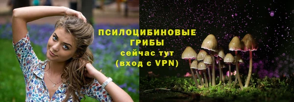 мет Нея