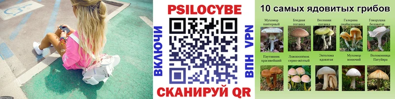 Псилоцибиновые грибы Psilocybine cubensis  Сим 